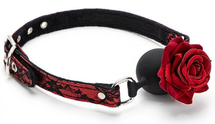 Baillon Boule avec Rose Bud Gag Rouge