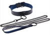 Collier-Laisse Punk Bleu marine