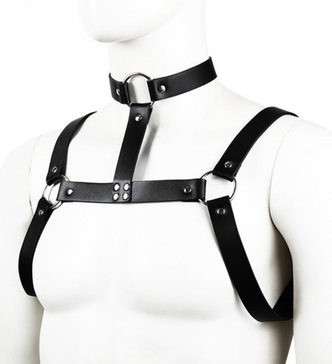 Harnais CHEST BELT Noir