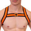 Harnais élastique Colin Orange