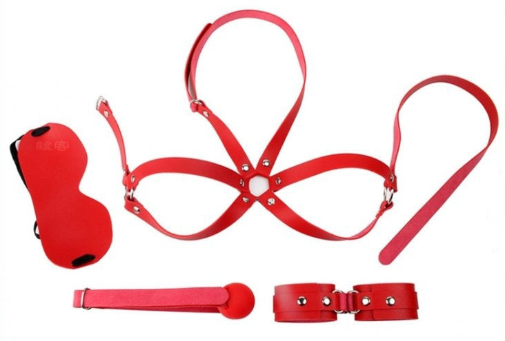 Kit d'Initiation BDSM OBEDIENCE 4 pièces Rouge